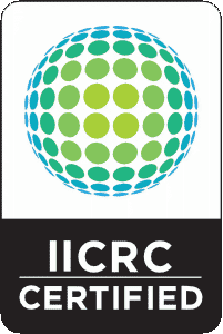 Rapid One IICRC Certified